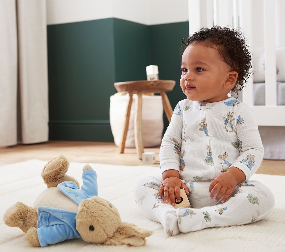Peter rabbit shop teddy bears
