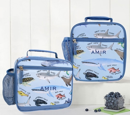 Pottery barn lunch bag clearance